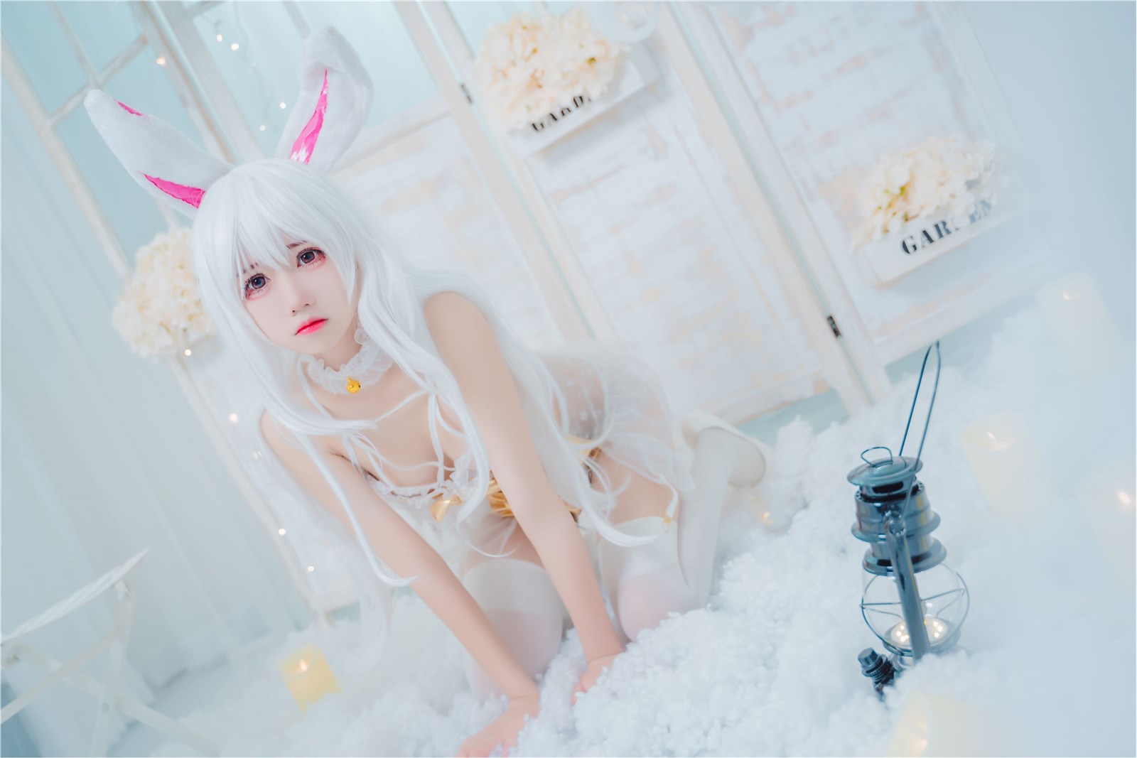 Private house rabbit(19)